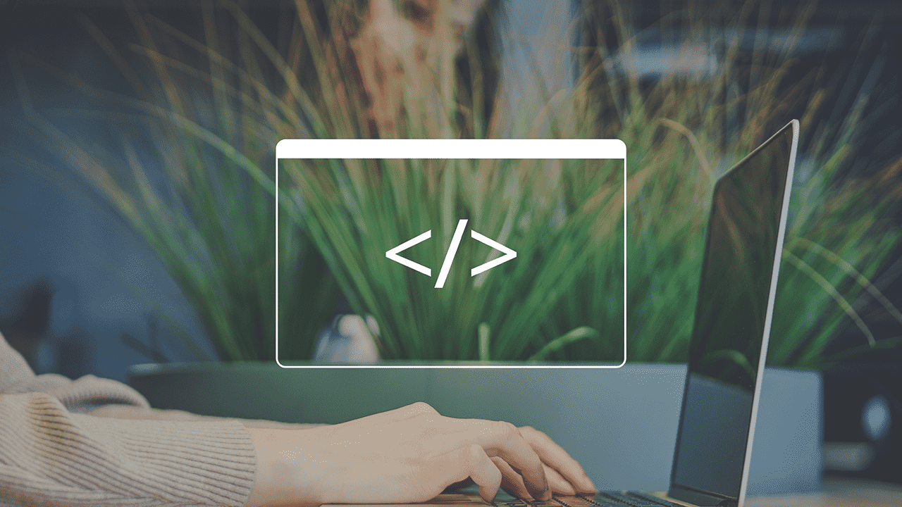 Canva Code Digital Content Specialist