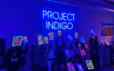 Project Indigo: A New Horizon for iPhone Photography